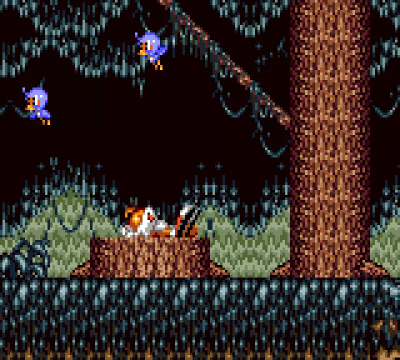 Image n° 4 - screenshots  : Tails Adventures